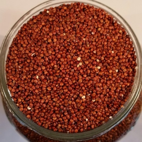 Quinoa rouge biologique - 11.34kg